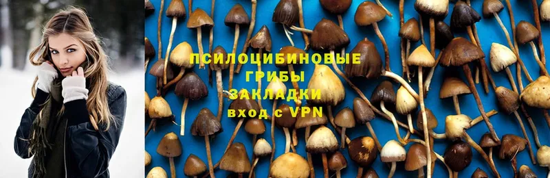 Галлюциногенные грибы MAGIC MUSHROOMS  Оханск 